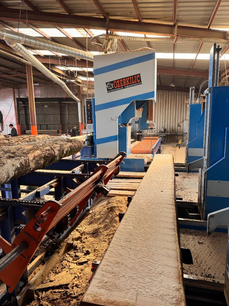 Modern beech lumber production facility