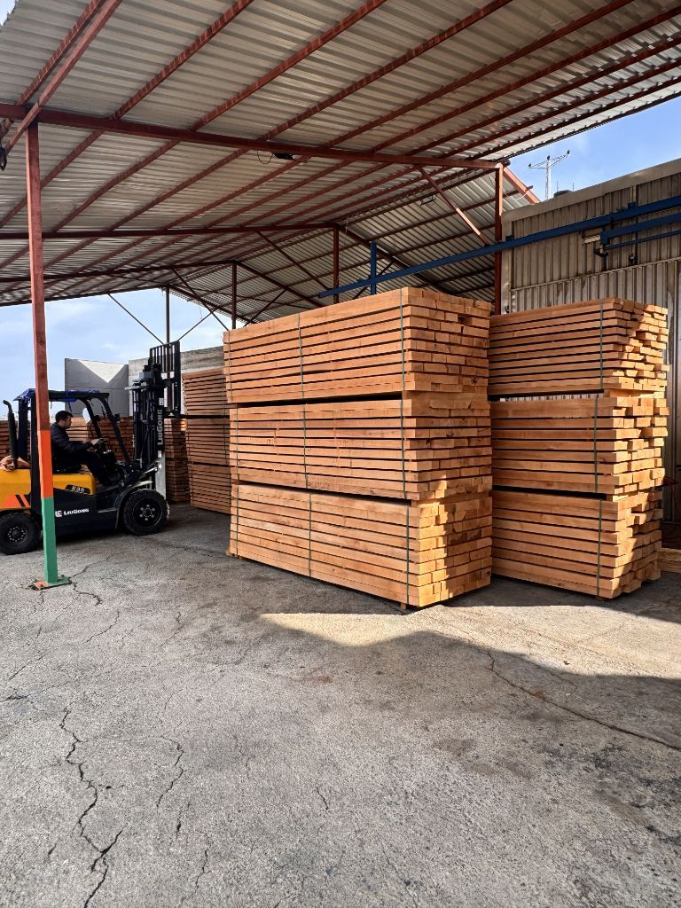 Modern beech lumber production facility